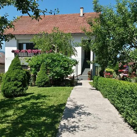 Guesthouse Pavlicic Drežnik Grad Dış mekan fotoğraf