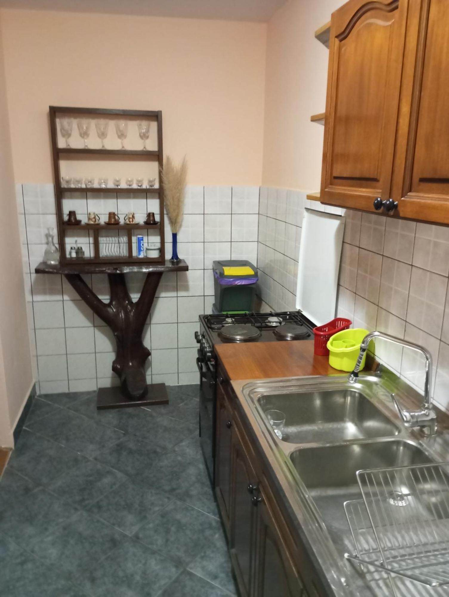 Guesthouse Pavlicic Drežnik Grad Dış mekan fotoğraf