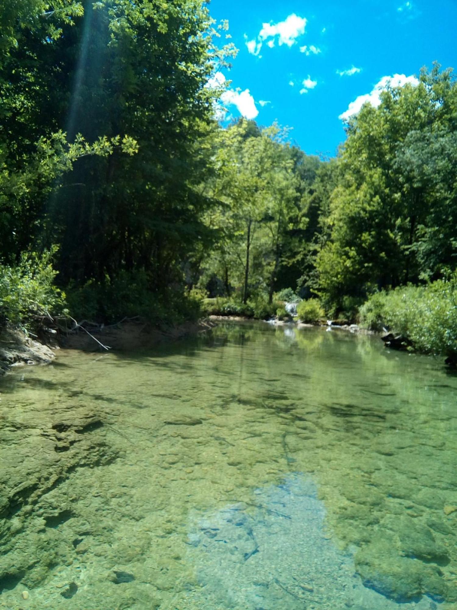Guesthouse Pavlicic Drežnik Grad Dış mekan fotoğraf