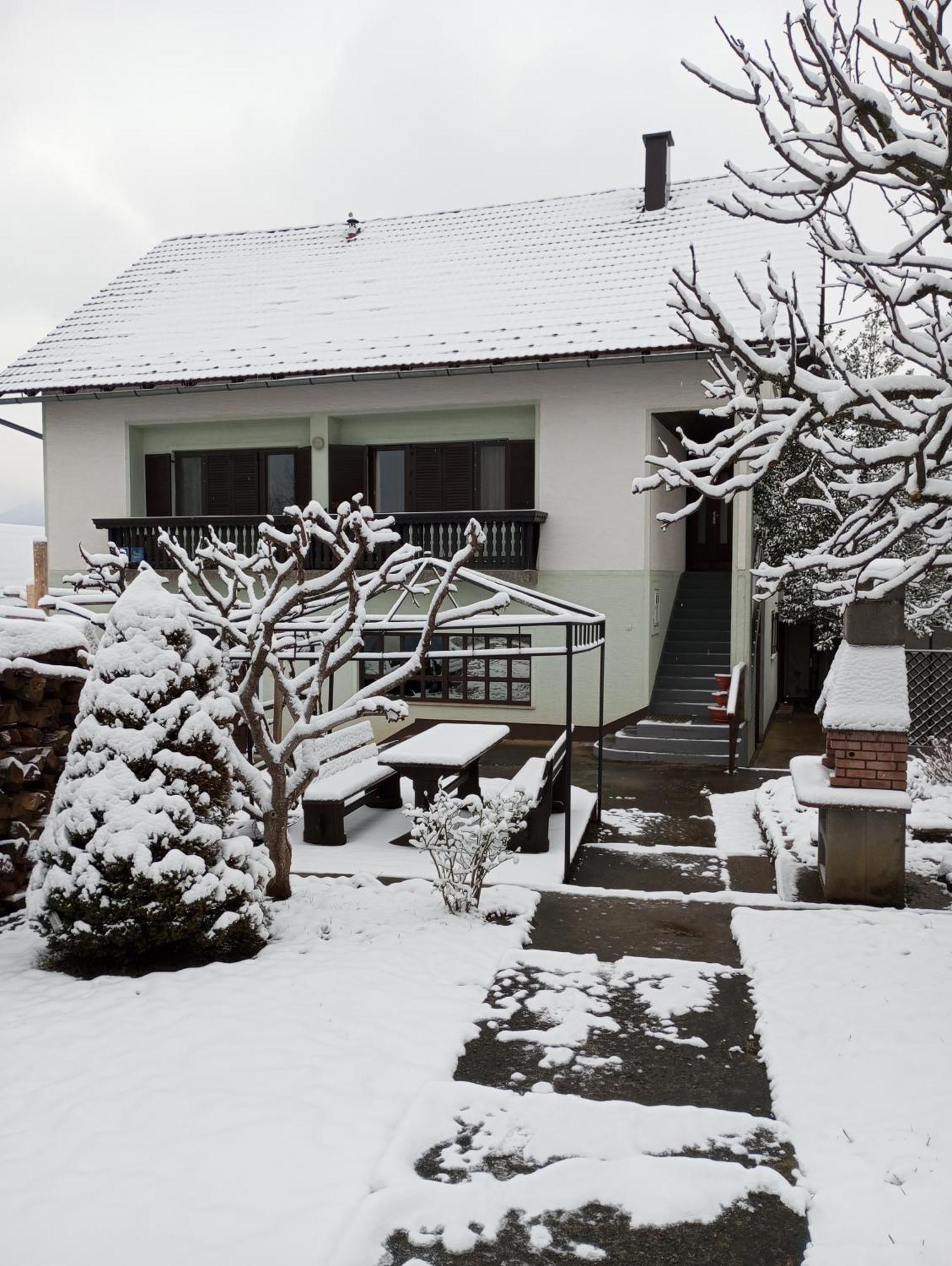 Guesthouse Pavlicic Drežnik Grad Dış mekan fotoğraf