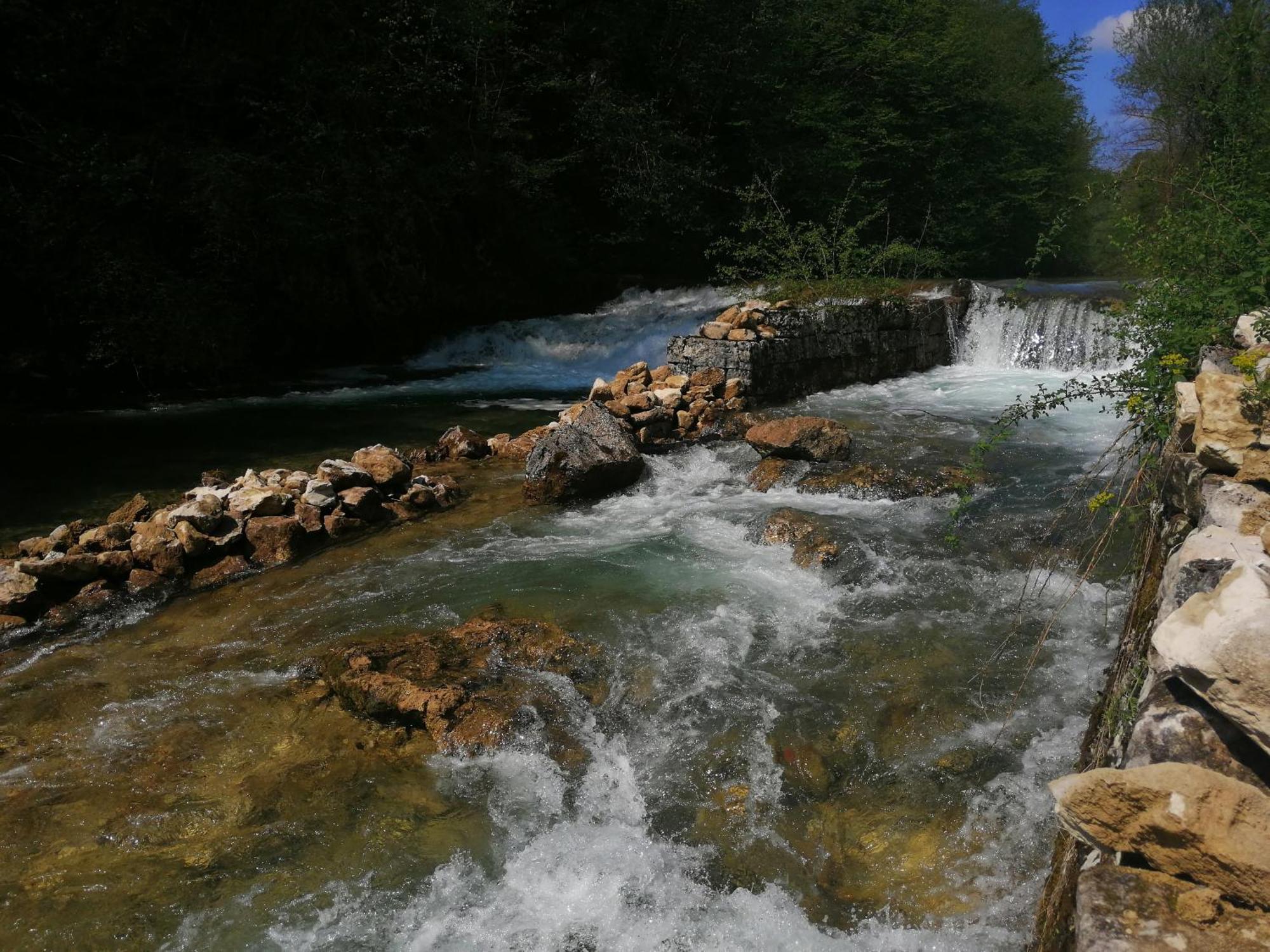Guesthouse Pavlicic Drežnik Grad Dış mekan fotoğraf