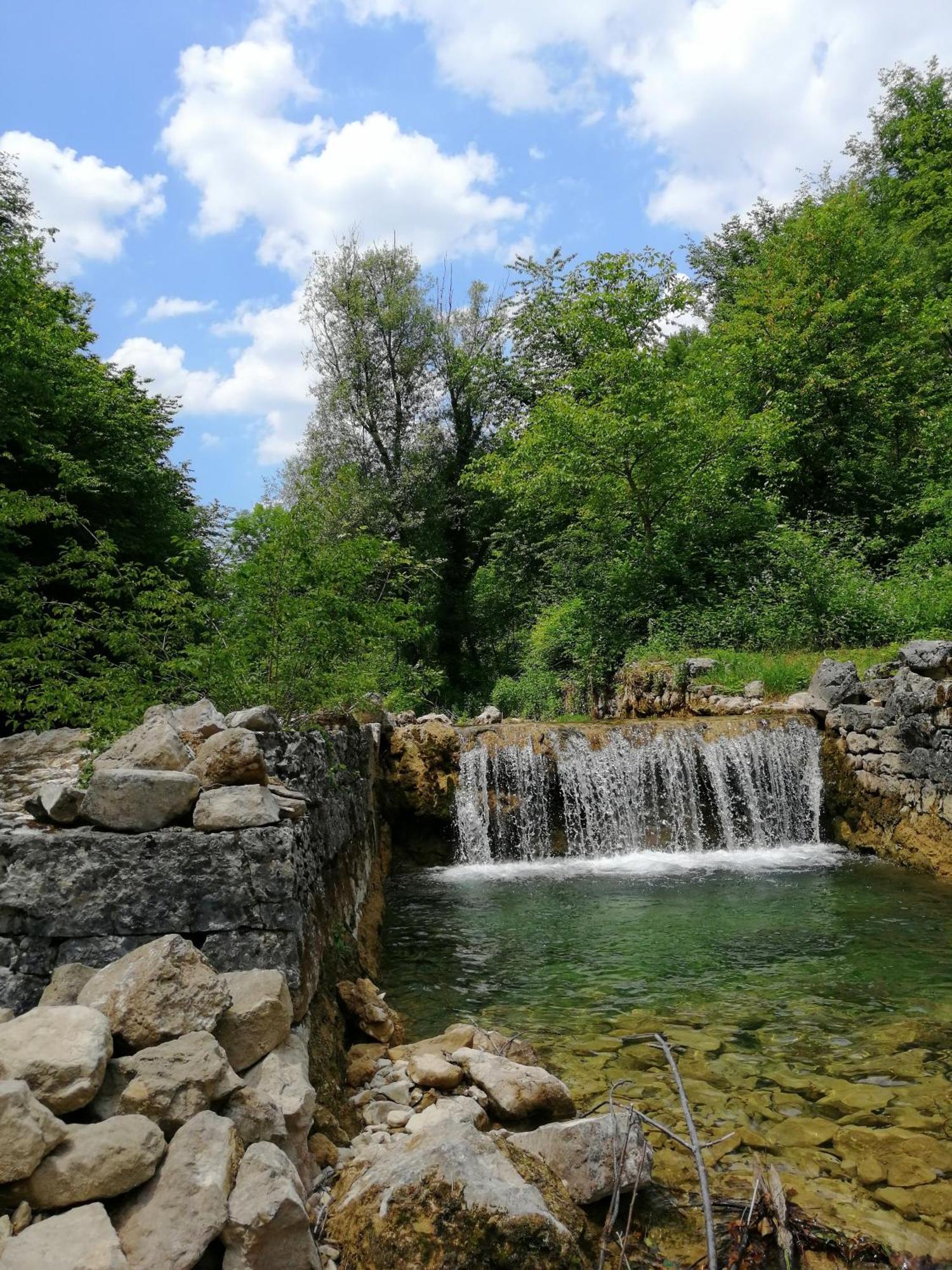 Guesthouse Pavlicic Drežnik Grad Dış mekan fotoğraf