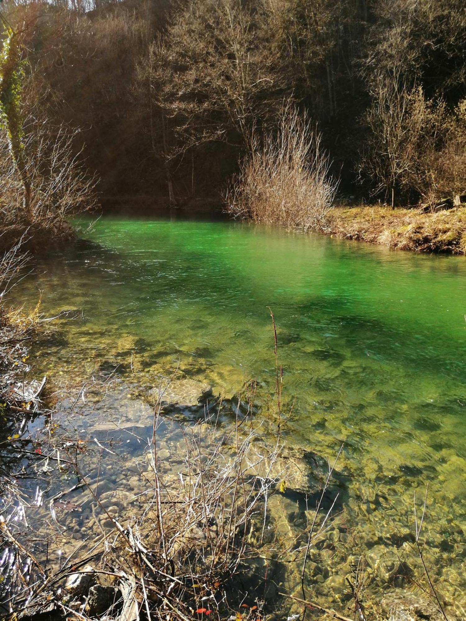 Guesthouse Pavlicic Drežnik Grad Dış mekan fotoğraf