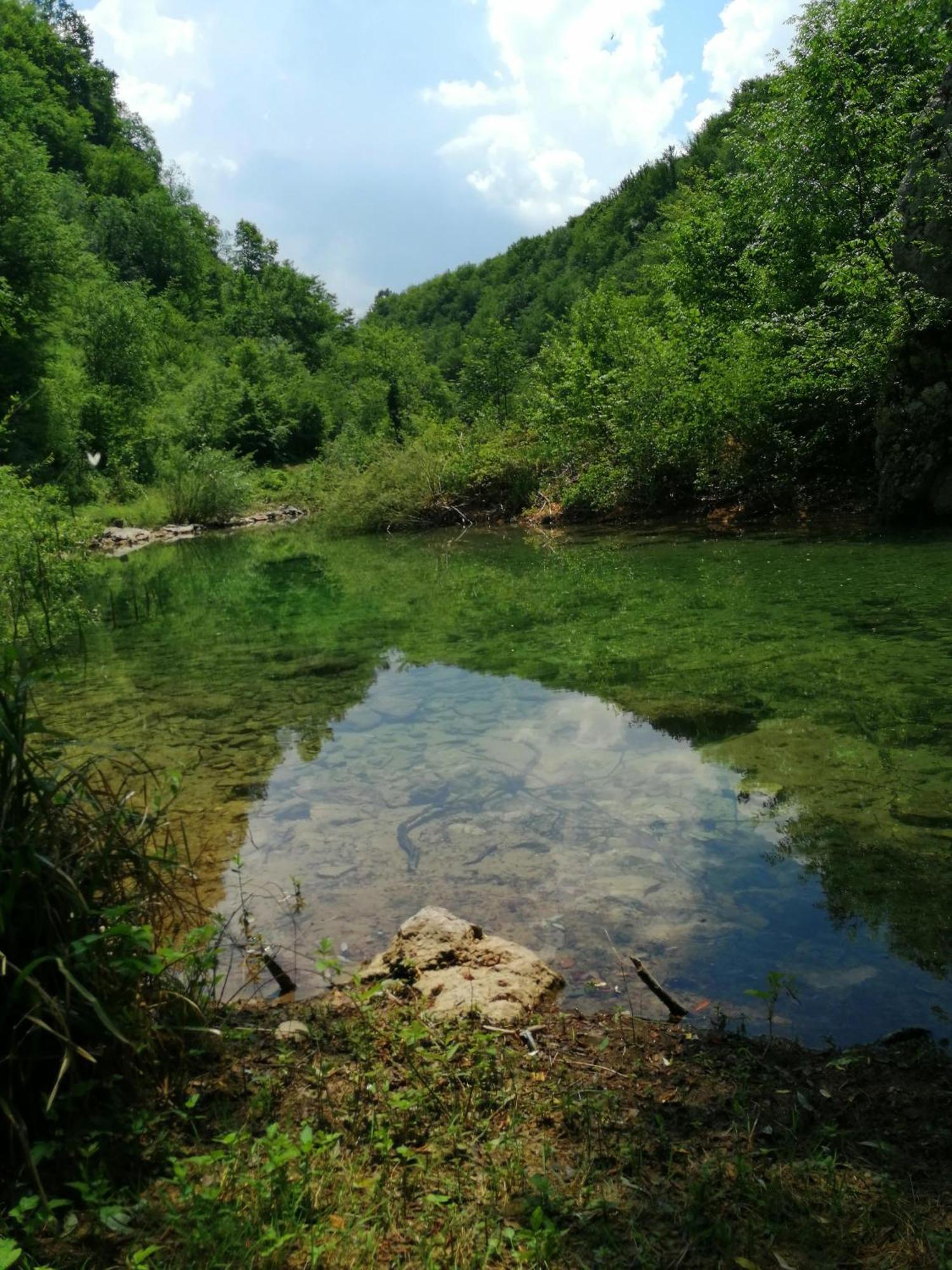 Guesthouse Pavlicic Drežnik Grad Dış mekan fotoğraf