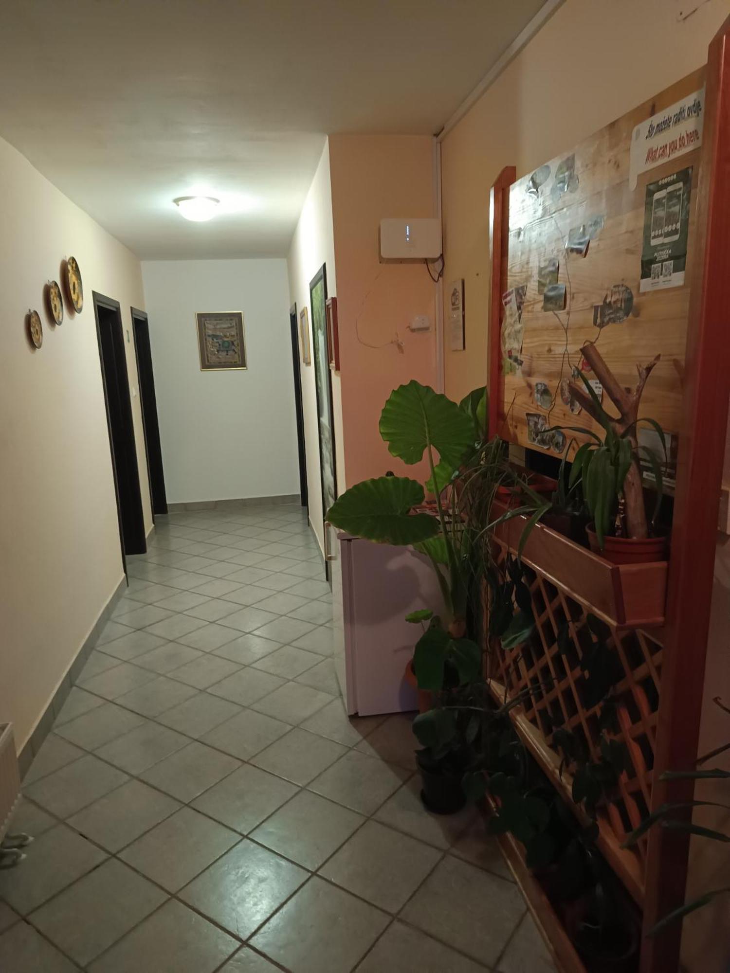 Guesthouse Pavlicic Drežnik Grad Dış mekan fotoğraf