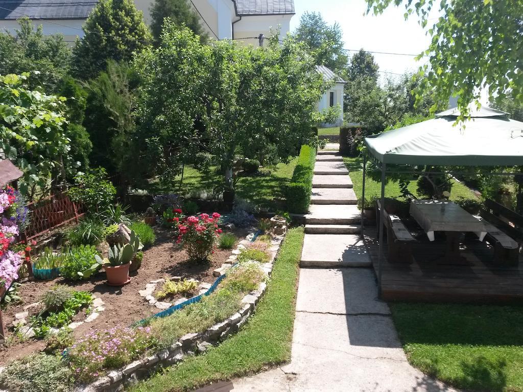 Guesthouse Pavlicic Drežnik Grad Dış mekan fotoğraf