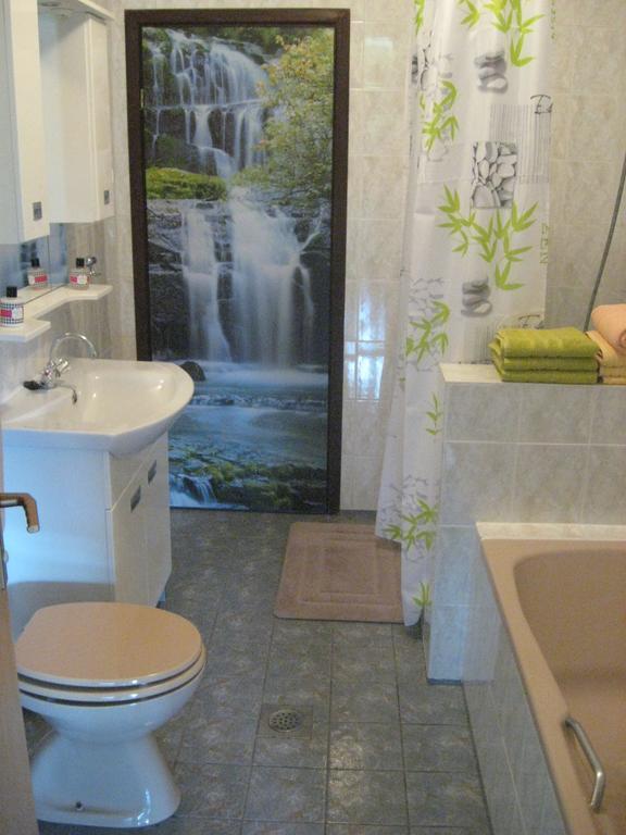 Guesthouse Pavlicic Drežnik Grad Dış mekan fotoğraf