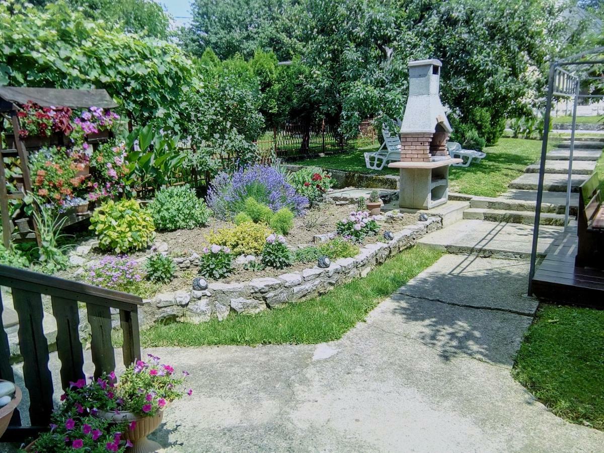 Guesthouse Pavlicic Drežnik Grad Dış mekan fotoğraf