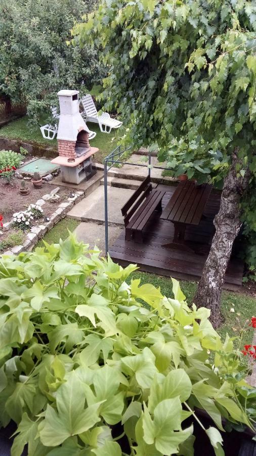 Guesthouse Pavlicic Drežnik Grad Dış mekan fotoğraf