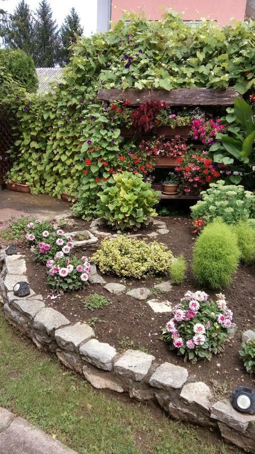 Guesthouse Pavlicic Drežnik Grad Dış mekan fotoğraf