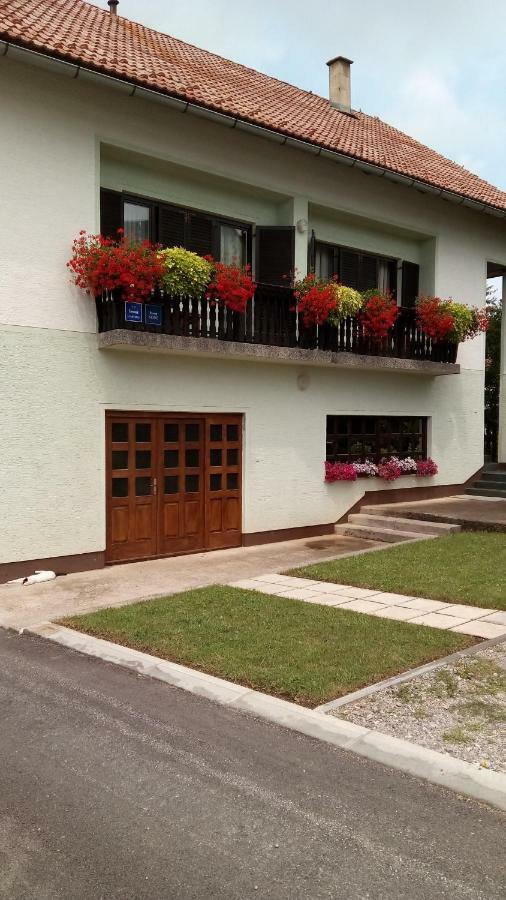 Guesthouse Pavlicic Drežnik Grad Dış mekan fotoğraf