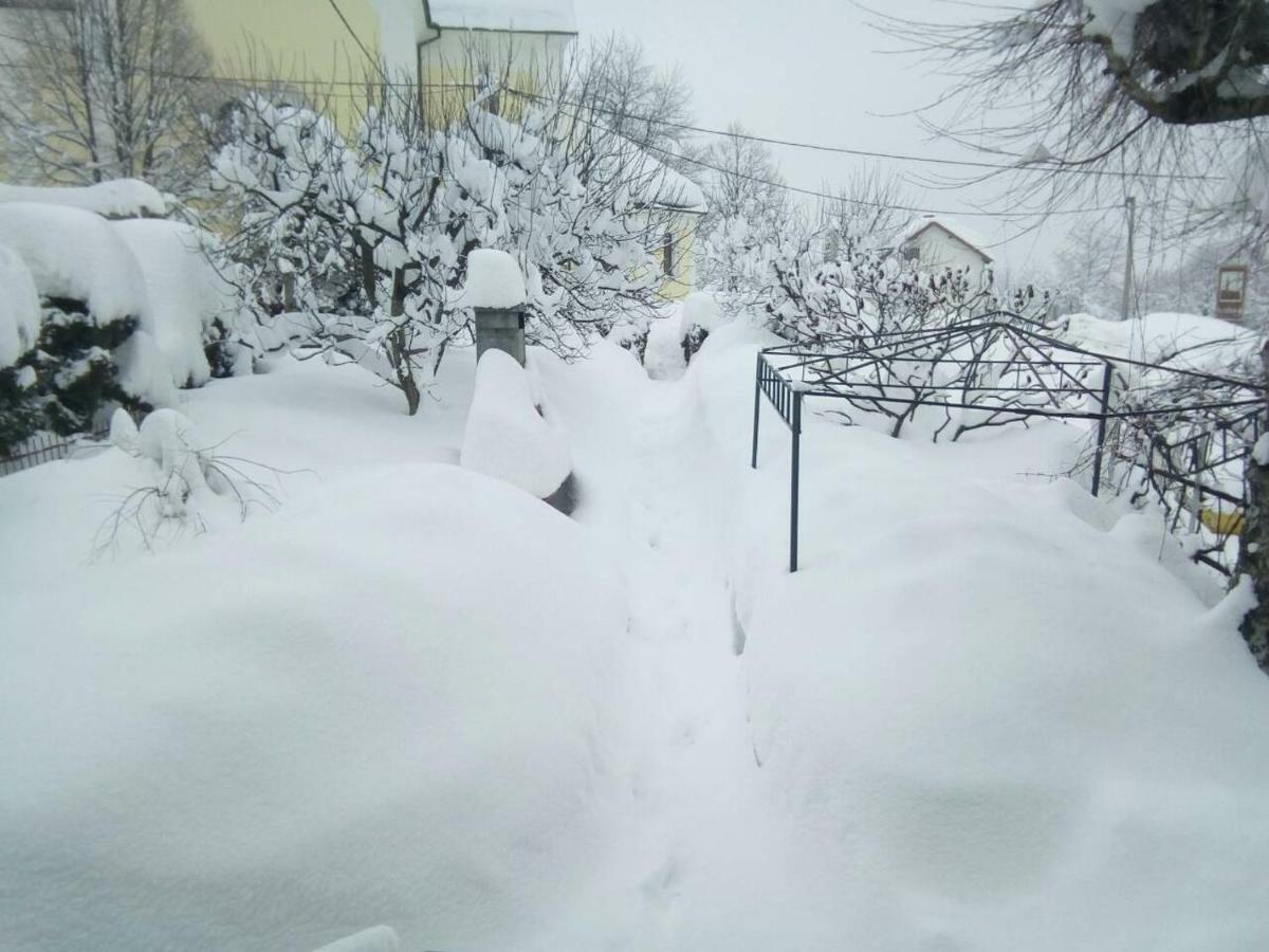 Guesthouse Pavlicic Drežnik Grad Dış mekan fotoğraf