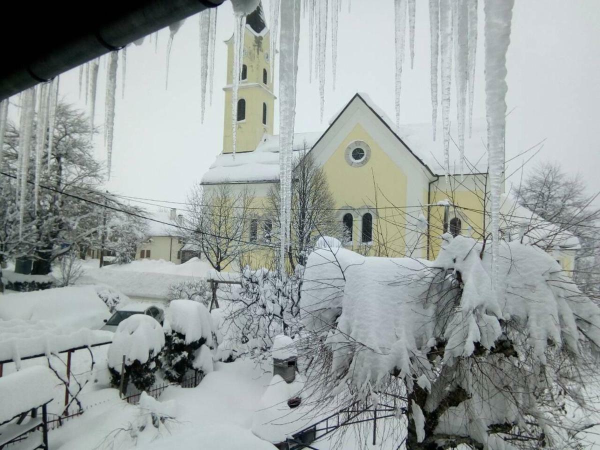 Guesthouse Pavlicic Drežnik Grad Dış mekan fotoğraf